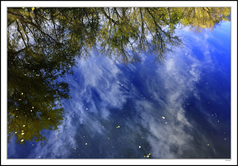 A Sea Of Clouds