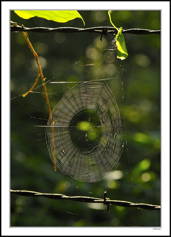 Shattered Glass