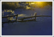 An Aged Fence Bows To The Sunrise