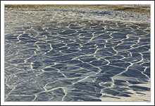 Windblown Crackled Glass