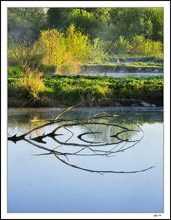 Charging Reflections