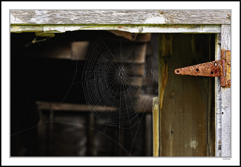 A Hinged Web