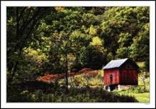 Tool Shed In The Sumac