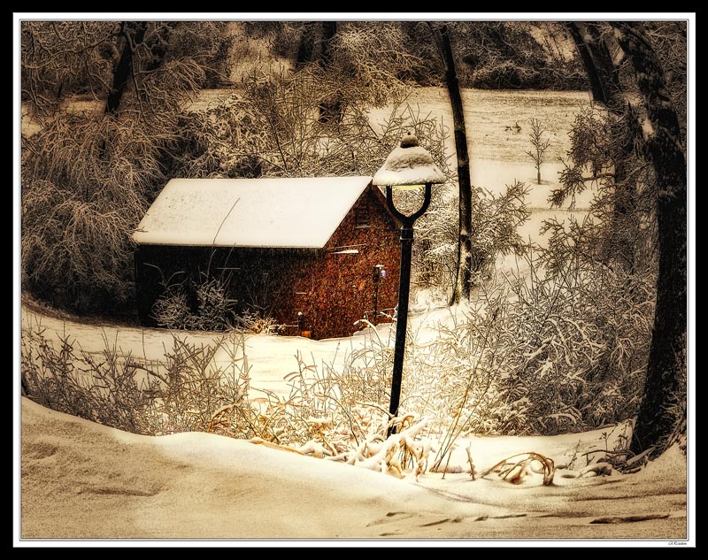 Lamplight Path