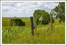 Nature Reclaimed