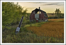 Past Harvests