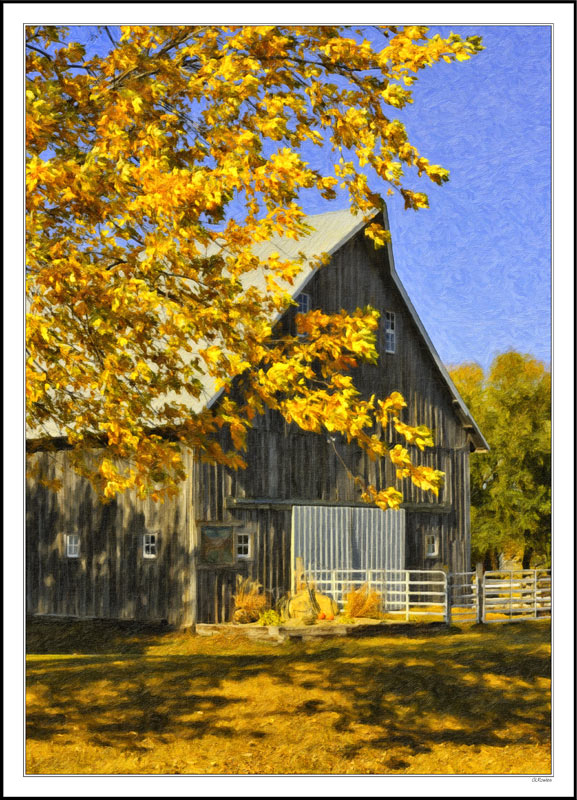 Rooney's Barn I