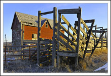 Not Running Livestock on Elk Avenue