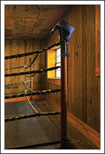 The Boxing Gym III