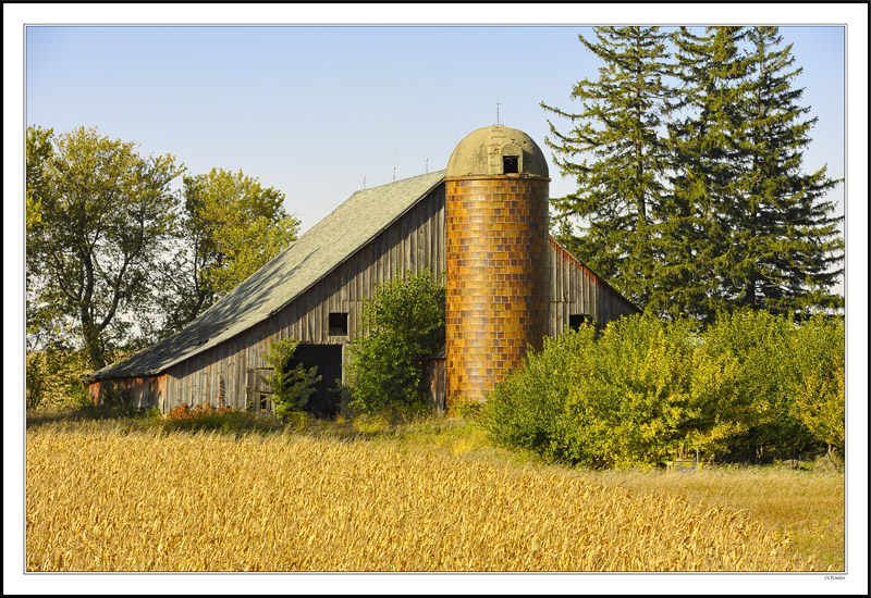 Rural Form and Color II