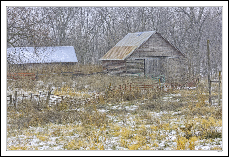 Fence Line