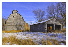 The Dairy Farm II