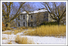 The Dairy Farm I