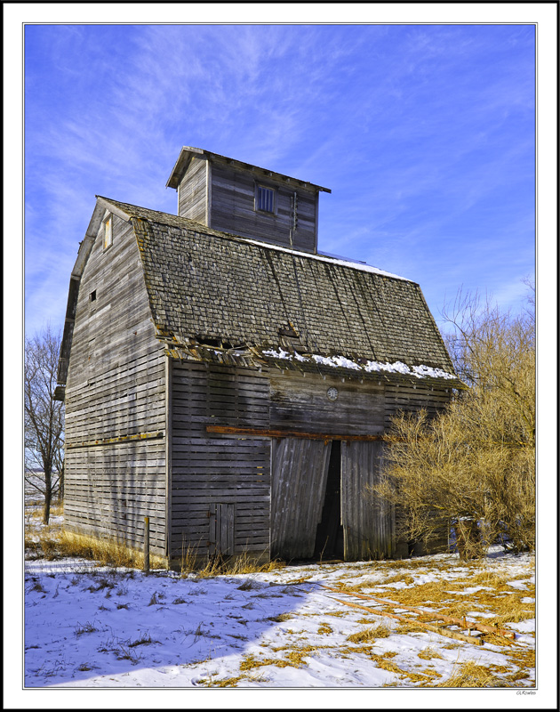 The Dairy Farm IV