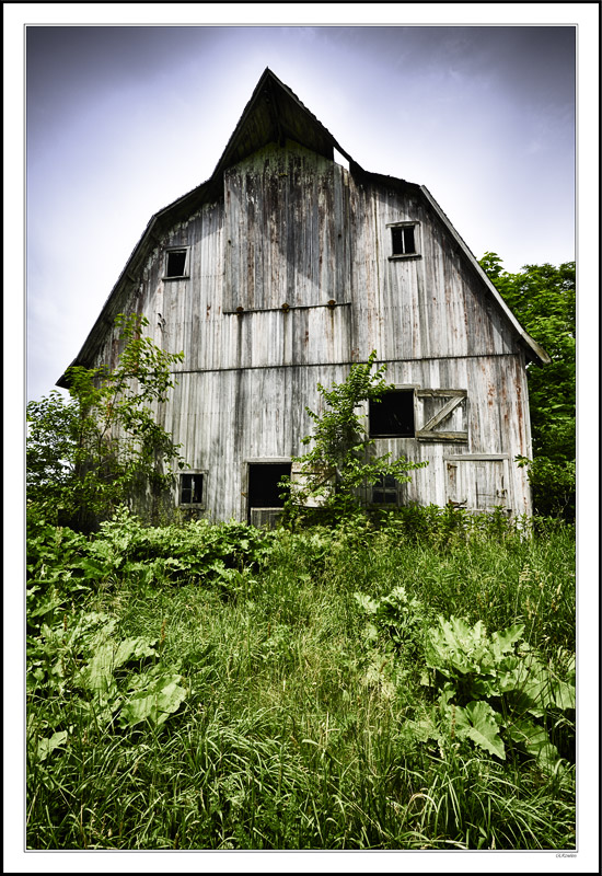 Romancing The Old Barn I