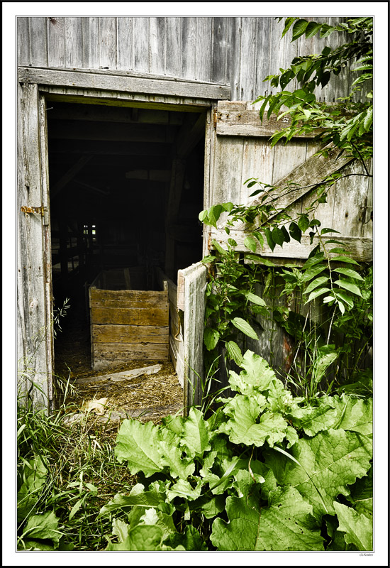 Romancing The Old Barn II