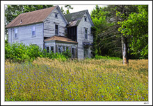 Chickory Cottage