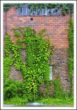 Urban Waterfall