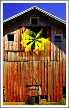 Hot Barn Quilt