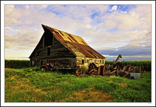 The Farm History Site