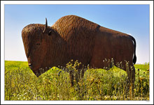 Red Ferrous Bison