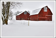 Red Barn Red Barn