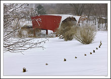 Cedar Bridge Drifted In