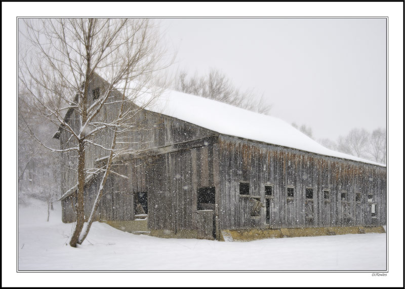 Weathered Barnboards Again Brave The Snow