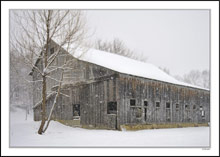 Weathered Barnboards Again Brave The Snow