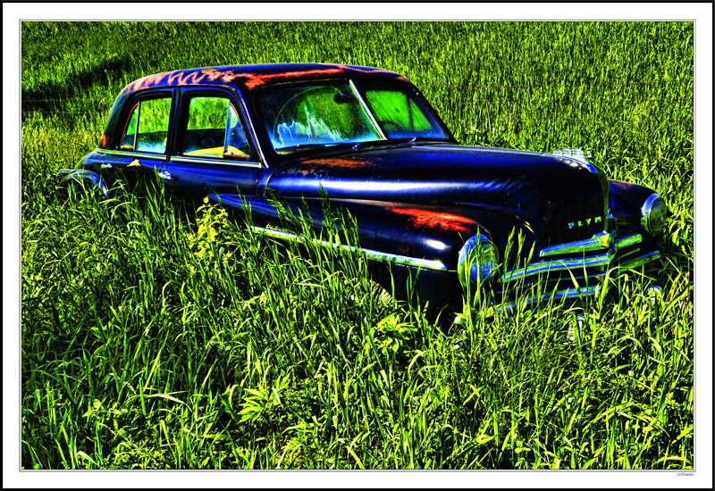 Navy Blue Plymouth With Sunburn