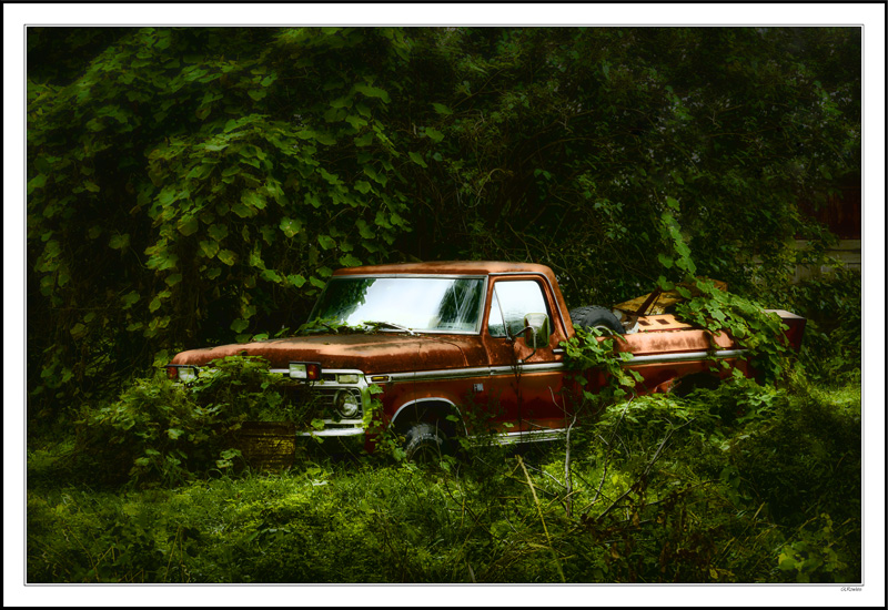 A Rolling Pickup Gathers No Ivy