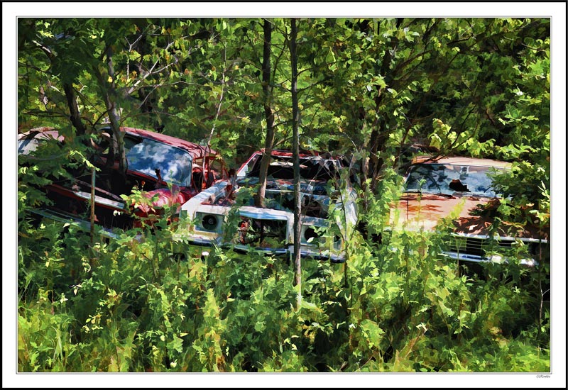 Green Vehicle Lot