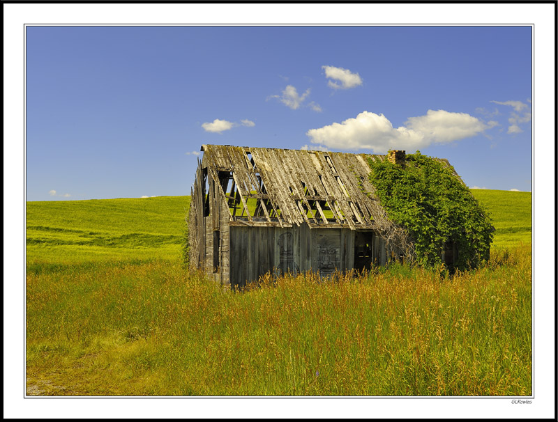 Face On The Cabin - Wyoming