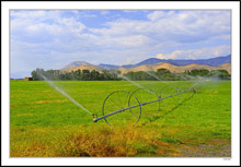 Soldier Mountain Foothills Irrigation - Fairfield, Idaho