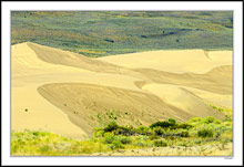 Golden, Shifting Dune - Idaho