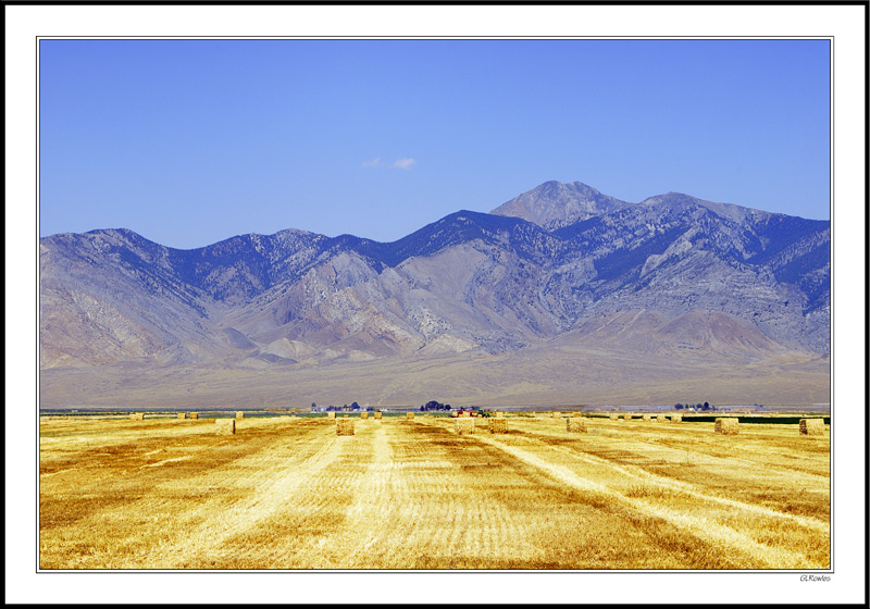 August Heat And Wheat Harvest - Lost River Range, ID