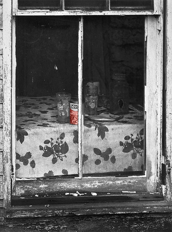 Joan of Arc Beans in Abandoned Cabin Window