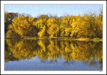 River Bend Reflections