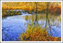 Beed's Bog Hunting Season