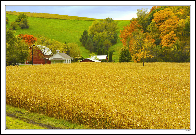 Autumn Comes To The Farm's Old Schoolhouse