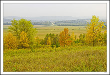 An Autumn Road Winds Into the Foggy Bluffs