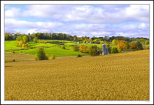 Crop Rows, Evergreen Rows, Windbreak Rows, Cloud Rows