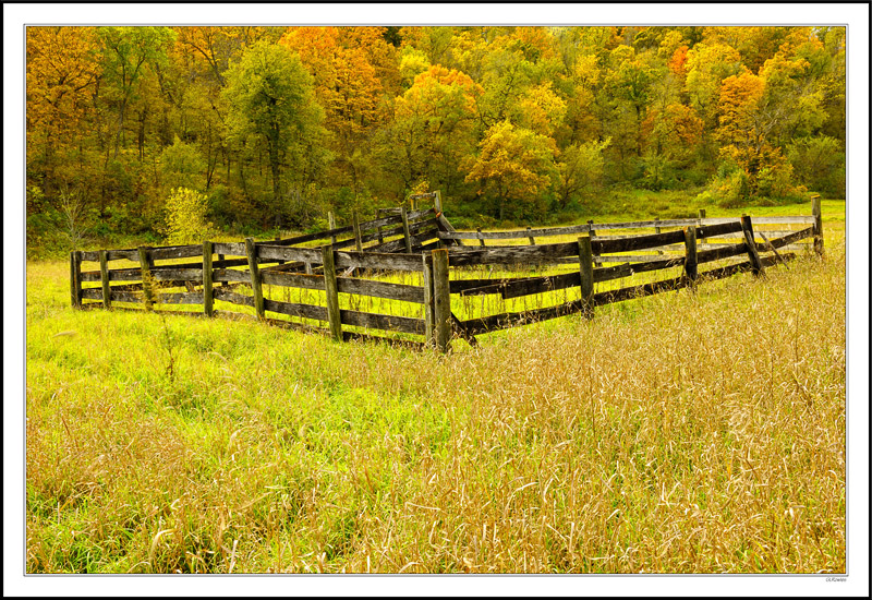 Western Flavor In A Midwest Autumn