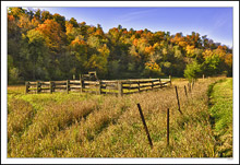 Western Flavor In A Midwest Autumn II