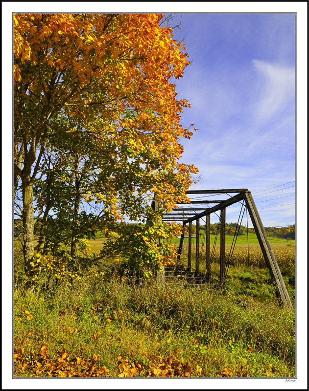 Autumn Frame For The Iron Frame