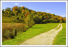 Driving Into Fall