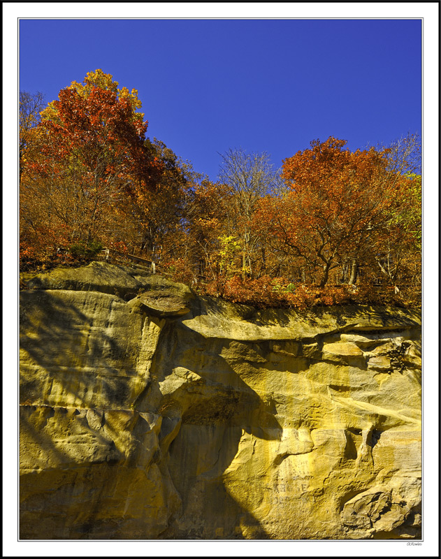 Hardy Trees Bring Fall Colors To Sandstone Bluffs