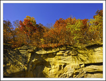 Hardy Trees Bring Fall Colors To Sandstone Bluffs