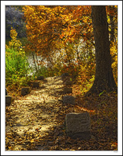 Shore Pathway