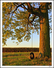 Swing To Harvest